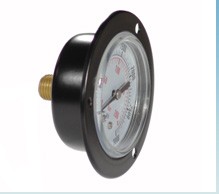 Dry pressure gauge