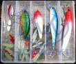 Minnow Hard Fish Lure