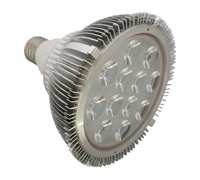 LED Par Light