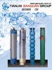 Geothermal Submersible Borehole Pump (Deep Well Water Pump)