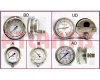 Stainless Steel Pressure Gauge