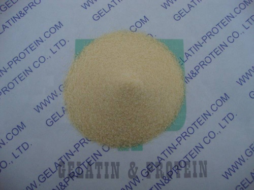 Bovine Skin Gelatin