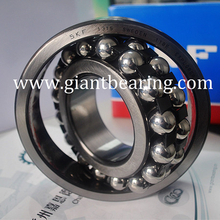 SKF Bearing 1315