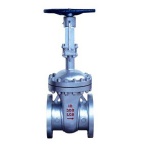 Cryogenic Gate Valve