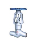 cast steel gate valve