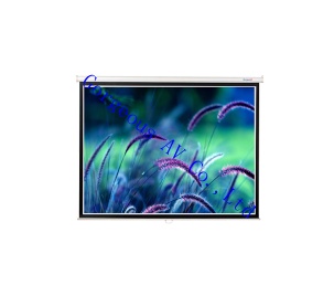 Manual Wall Screen,projection screen for home theater