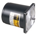 AC/DC  motor