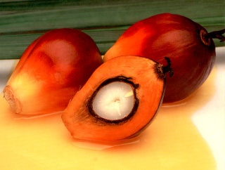 Refined Palm Oil