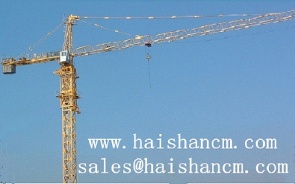 Tower crane QTZ80