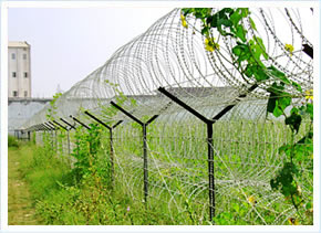 Razor Wire