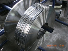 Stainless steel wire