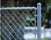 Chain Link Fence