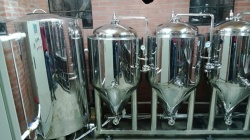 Fermentation System