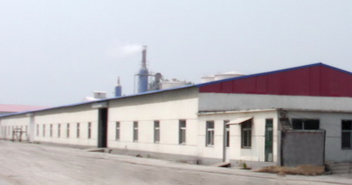 shandong hicity building materials