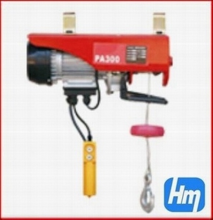 mini electric hoist in high quantity