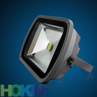 LED flood light