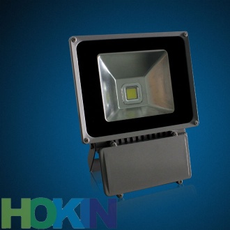 LED flood light