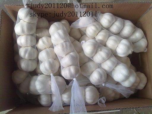 white garlic