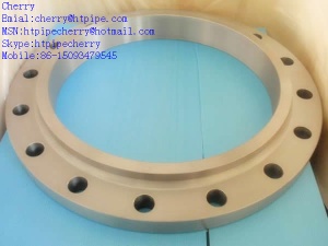 Alloy 400 Flange