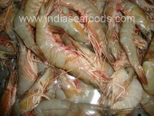 FRESH CHILLED VENNAMEI SHRIMPS