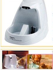 Pet feeder, Pet drinker for cat and dog