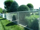 Wire Mesh Fence