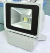 Led Floodlight