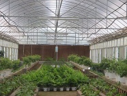 The Semi-PC Boards Greenhouse