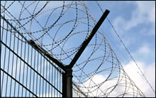 barbed wire mesh