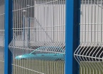 Wire Mesh Fence