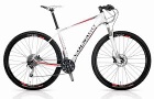 Colnago Twenty IX Bike