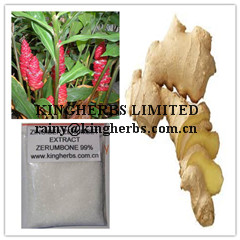 Kingherbs Offers China Zingiber Zerumbet Extract