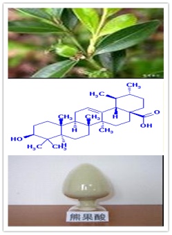 China Ursolic Acid