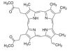 Protoporphyrin IX dimethyl ester