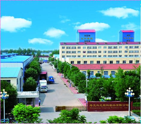 Shandong Shouguang Longxing Agricultural Film Co., Ltd