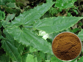 Epimedium Extract