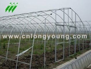 Economical Tunnel Greenhouse