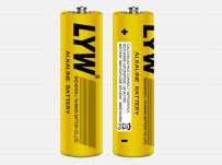 dry cell batteries