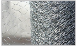 Hexagonal Wire Mesh