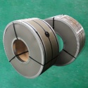 Stainless Steel Coils