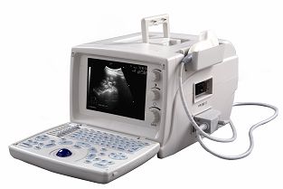 B mode ultrasound scanner