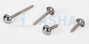 Brass Mirror Screws