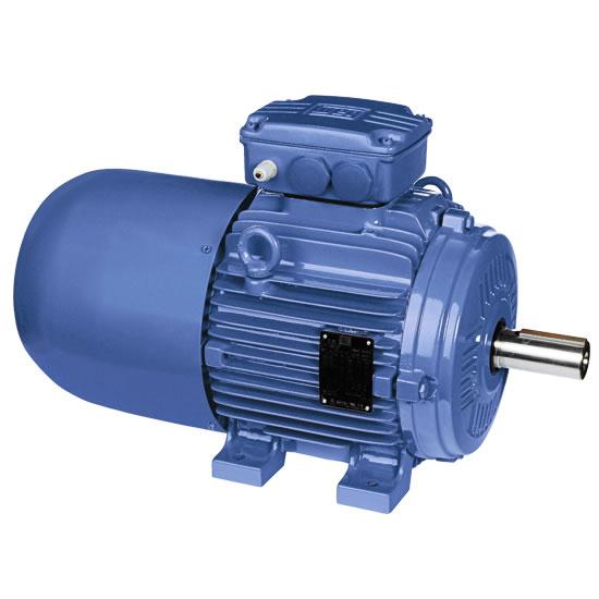 brake motor