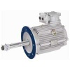 Cooling Tower Motor | Long Shaft Motor | Cooling Tower Motor Manufacturuers | Cooling Tower Motor