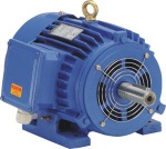 Torque Motor | Torque Motor Manufacturers | Torque Motor Supplier | Torque Motor Exporter