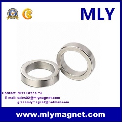 Rare Earth permanent special Neodymium Custom Magnet