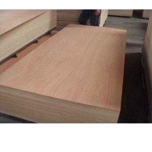 Bintangor plywood