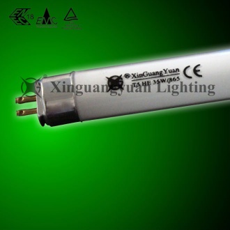 T5 Fluorescent Lamp