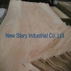 Rotary Cut Bintangor Veneer