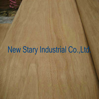 Red canarium veneer,okoume veneer